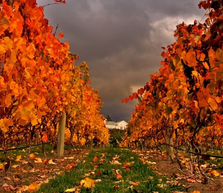 发卡平台可靠的网页在线DDOS压力测试