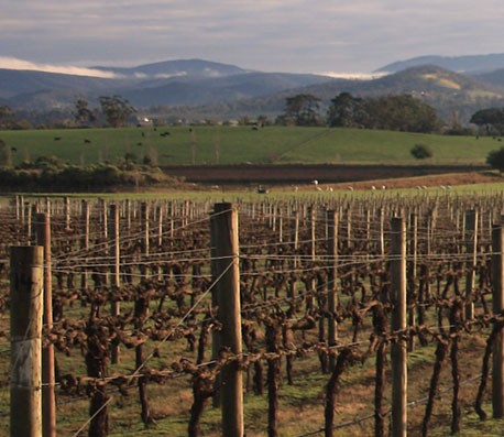 ip攻击器网页版